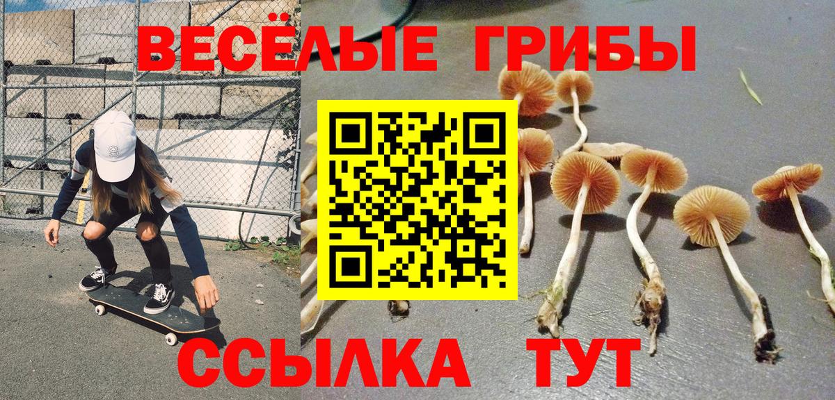 Псилоцибиновые грибы мицелий Набережные Челны