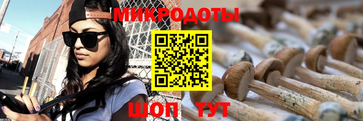 цена   Псилоцибиновые грибы мухоморы  Набережные Челны  Вход с VPN  Псилоцибиновые грибы прущие грибы 